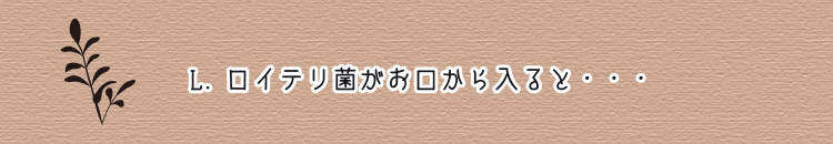 L.ロイテリ菌がお口から入ると・・・