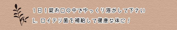 1日1錠お口の中でゆっくり溶かして下さい L.ロイテリ菌を補給して健康な体に！
