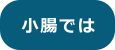 小腸では